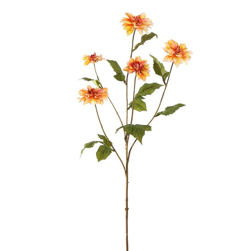 [569221] Jasaco |  DAHLIA 90CM YELLOW