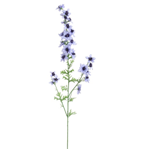 [569222] Jasaco |  DELPHINIUM 95CM TWO TONE BLUE