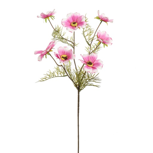 [569224] Jasaco |  COSMOS SPRAY 75CM CREAM PINK