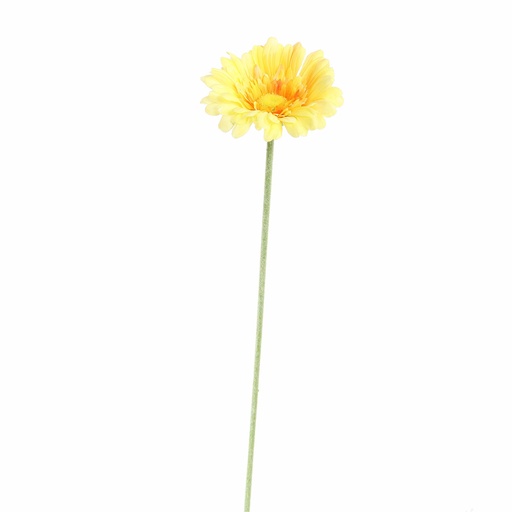 [569225] Jasaco |  GERBERA 58CM YELLOW