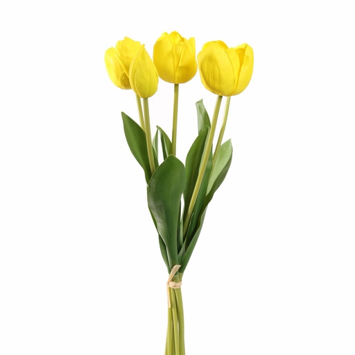 [569227] Jasaco |  TULIP X5 BUNDLE 48CM YELLOW