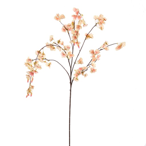 [569228] Jasaco |  LARGE CHERRY BLOSSOM 115CM PEACH