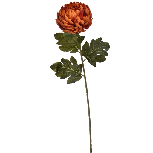 [569229] Jasaco |  SINGLE MUM 73CM ORANGE