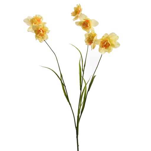 [569230] Jasaco |  NARCISSUS SINGLE 59CM YELLOW