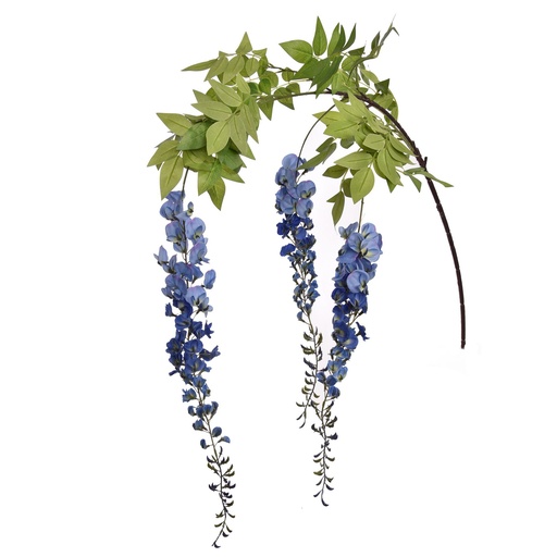 [569239] Jasaco |  GIANT WISTERIA 170CM BLUE