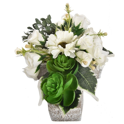 [569247] Jasaco |  ROSE GERBERA ECHEVERIA IN POT 21X15CM CREAM