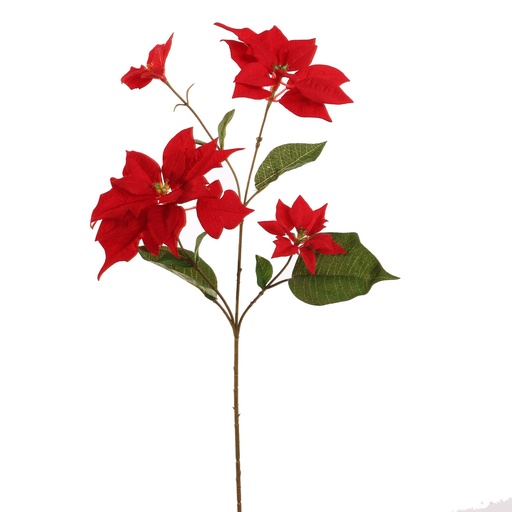 [569262] Jasaco |  POINSETTIA SPRAY 65CM RED