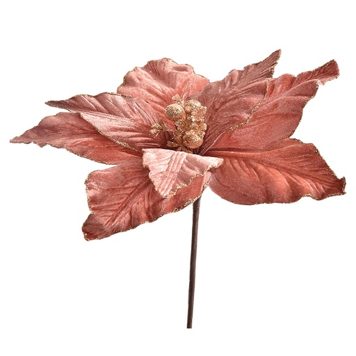 [569263] Jasaco |  POINSETTIA PICK H35 D26CM PINK