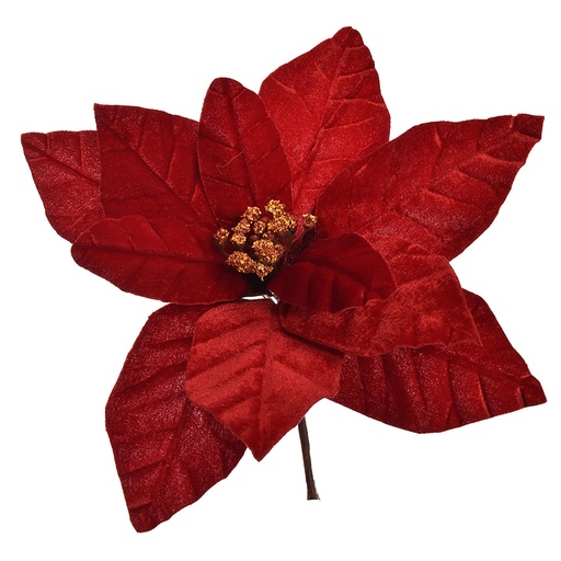 [569264] Jasaco |  VELVET POINSETTIA D27 H18CM RED