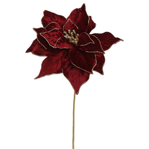 [569266] Jasaco |  BAROCK  POINSETTIA D26CM H50CM BURGUNDY