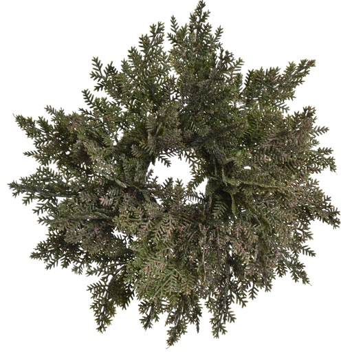 [569272] Jasaco |  CYPRESS WREATH 28CM GREEN