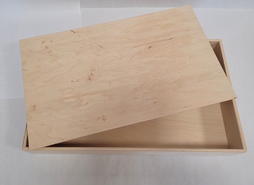 [569394] Alexander Toys | Bac à jouets en bois avec couvercle 50 x 30 x 7 cm