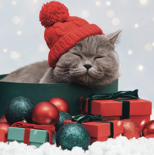 [570135] Duni | Servetten Purrfect Gifts 3-laags 33x33cm