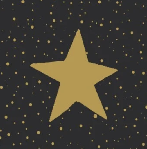 [570164] Duni | Servetten Sparkles Black 3-laags 33x33cm 20-pack