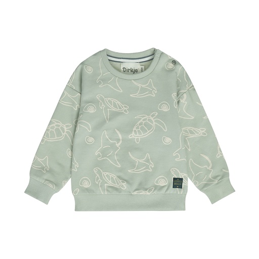 Dirkje | Sweater Boys Santa Monica Soft Sage 