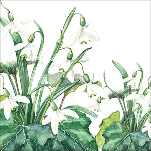 [579038] Ambiente | Servetten Snowdrops 3-laags 100%FSC 33x33cm 20-pack