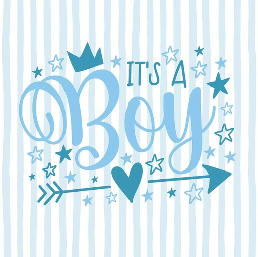 [580593] Duni | Servetten Boy 3-laags 33x33cm 20-pack