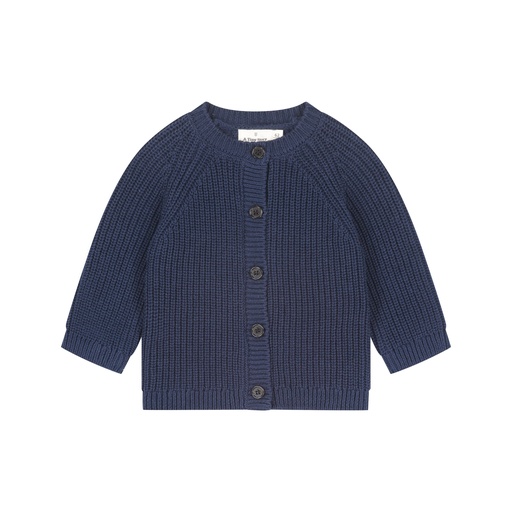 A Tiny Story | Vest Boys Dark Blue