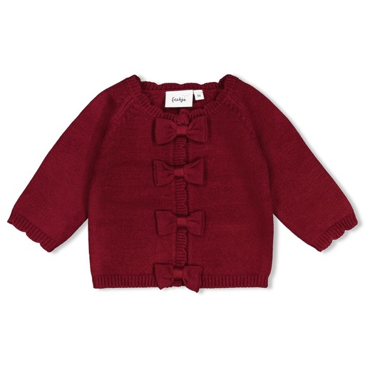 Feetje | Vest Girls My Little Love Bordeaux