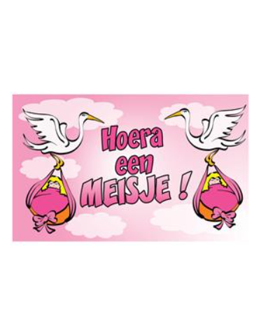 [248132] VLAG, Hoera Een Meisje, roze, print ooievaars met baby'/tekst, kunststof, B: 90 cm, L: 150 cm, decoratie