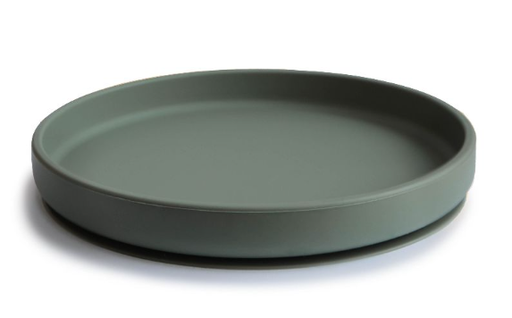 [466451] PLAT BORD, Plate, rond, dried thyme, groen, uni, siliconen, met zuignap, 1 stuk(s), bord