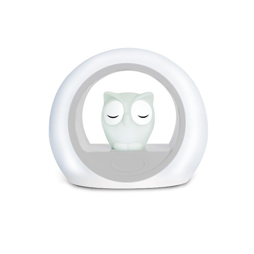 [260646] NACHTLAMP DRAADLOOS, Lou, grey, wit/grijs, rond, uil, 18x15cm, LED lampje, 2020
